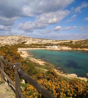 Île du Frioul