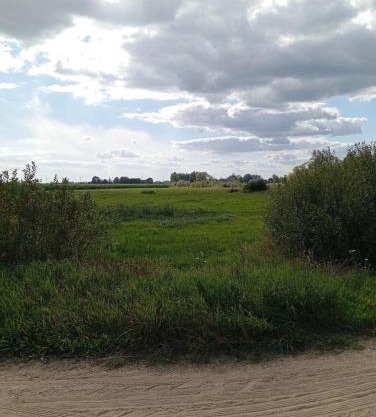 ŁĄKA NA WYŁĄCZNOŚĆ NA PODLASKIEJ WSI HAJNÓWKA BIAŁOWIEŻA namiot, biwak, kemping