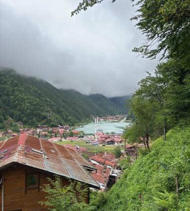 Şahin Home