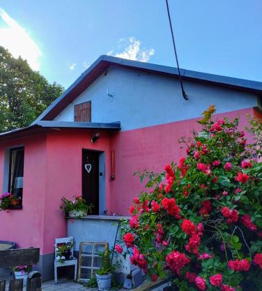 Štempel Karol , Bělá pod Pradědem, Domašov 412