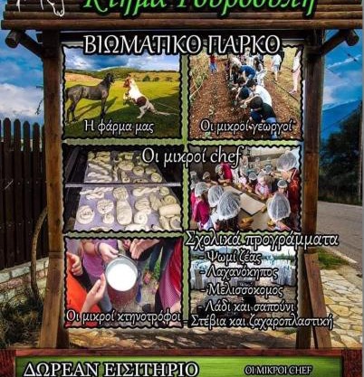Κτήμα ΓΟΥΡΔΟΎΠΗ Georgia