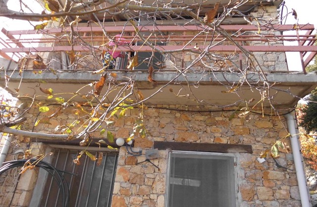 Οροπέδιο Καθαρού Κριτσάς- Αβελιακό