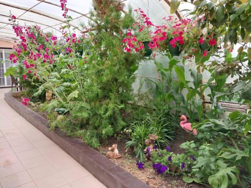 Апарт-Отель Энглер