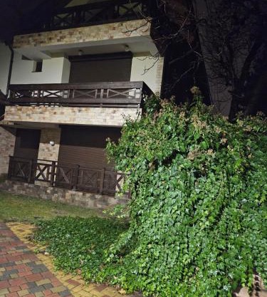 жилой дом, возможен офис