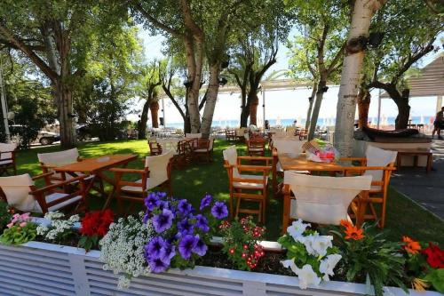 Квартира Халкидики Флогита/Ferienwohnung Chalkidiki Griechenland