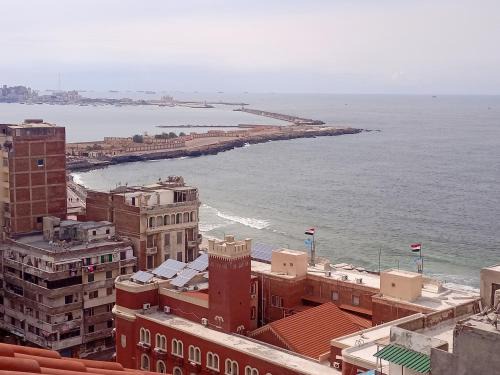 الاسكندريه