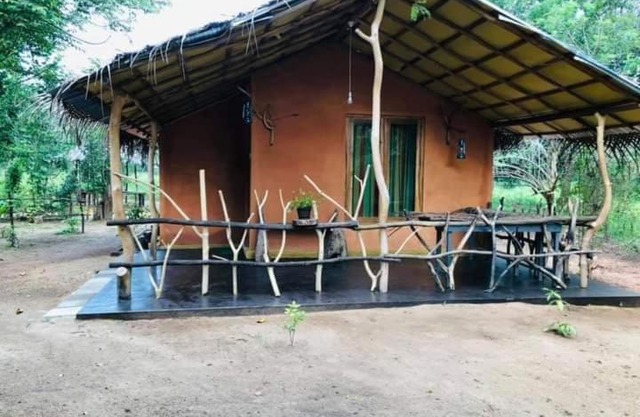කැලෑව Jungle Eco Resort