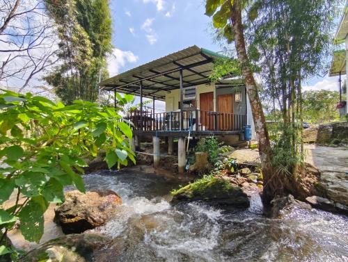 อินทนนท์ บ้านพักเล่าจู Inthanon Laoju House