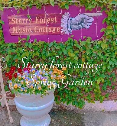 猫とピアノと星空のリゾートブティックコテージ -Starry Forest Cottage Okinawa-