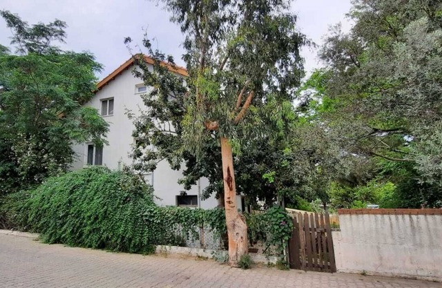 Çam ağaçları altında, otantik, büyük bahçeli, denize yakın ve yine de merkezi
