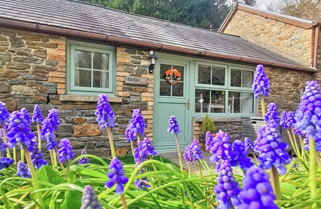 Alojamiento de 1 habitación en Llannon, Llanelli