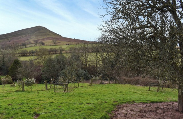 1 bedroom accommodation in Talgarth, Brecon