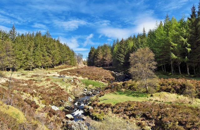 Alojamiento de 1 habitaciones en Lendalfoot, Girvan