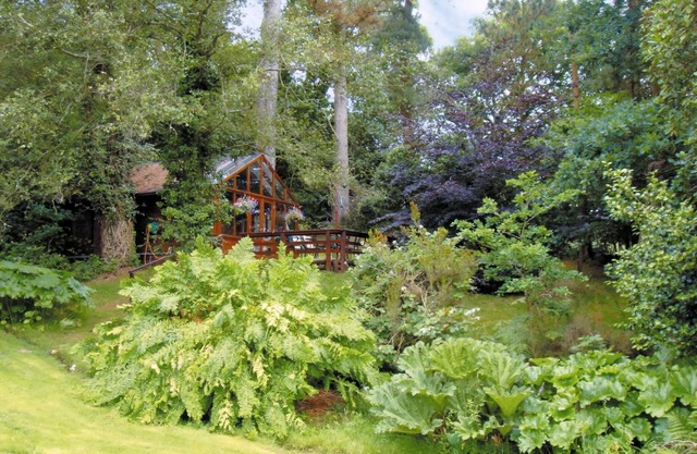 Alojamiento de 1 habitaciones en Furze Hill, near Fordingbridge