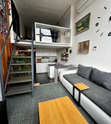 1 bedroom loft apartment