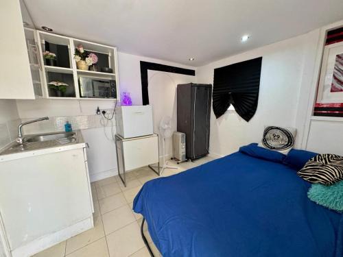 1 Bedroom studio