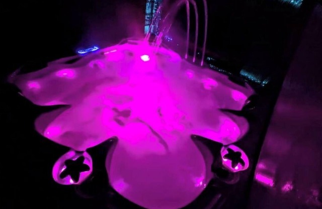 #1-NewPrivate HotTub-My Spare Cottages-Near Tahoe!
