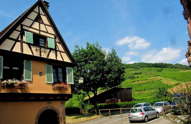 1-pied des Vosges, Plein Sud, Coeur du Vignoble, Confortable, Calme,wifi Gratuit