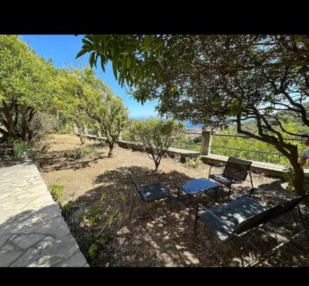 10 min de Monaco petite maison avec jardin vue mer et rocher de Monaco