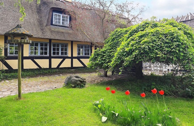 10 personas casa en Rudkøbing