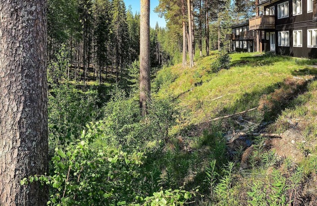 4 esrellas case en SÄLEN