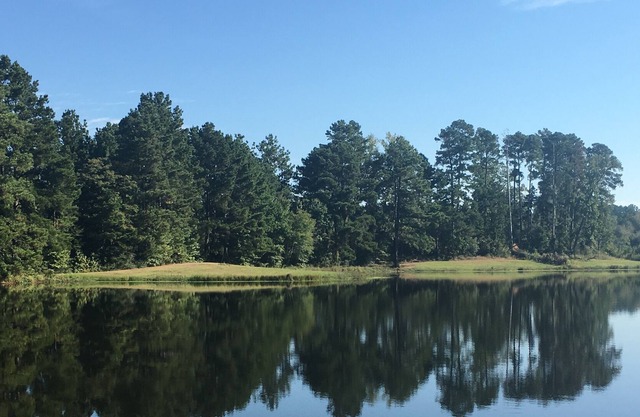 Hermosa East Texas Ranch escapada