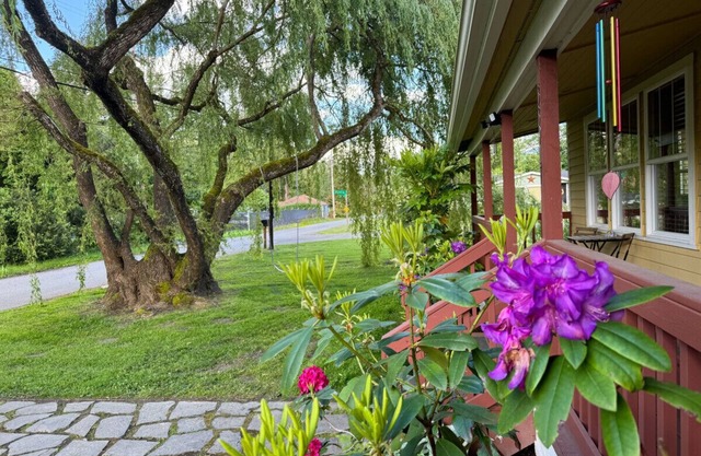 The Willow Tree Bungalow ~ Backyard ~ Office