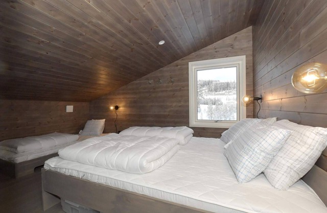 12 person holiday home in IDRE