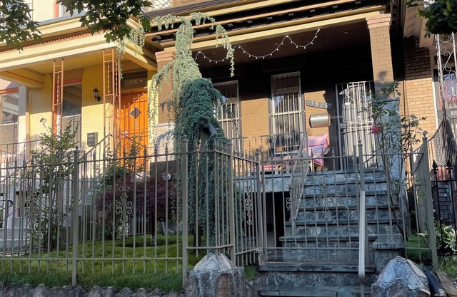 125 . Amazing Apt Entire charming one bedroom so Clean” WiFi , Washington DC