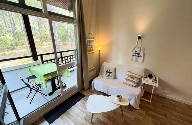 132 - Ferienwohnung Maubuisson