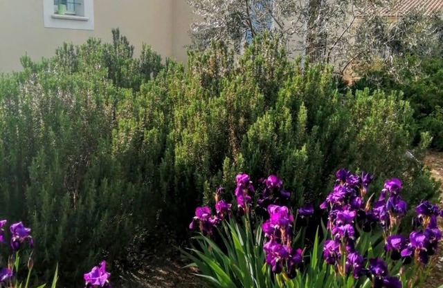 140 M2 villa in subdivision at the foot of the luberon