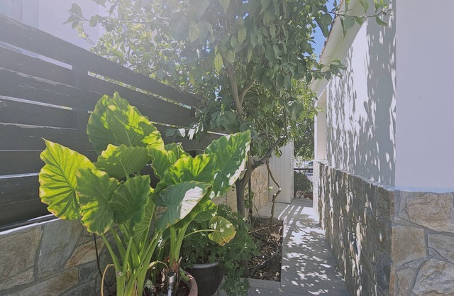 148 Lim- Stay Synergy House