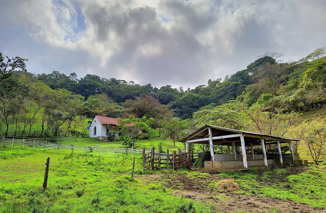 ¡ A 15 minutos del pueblo mágico xilitla SLP! Cabaña SAN AGUSTÍN