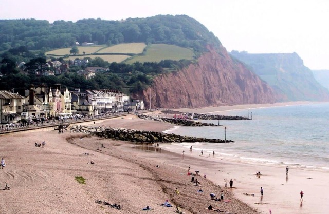 17th Century Thatched Cottage, 10 Mins to Sidmouth