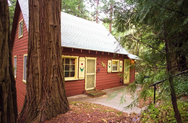 1940s Storybook Knotty Pine Cabin in Crestline, Absolute Privacy