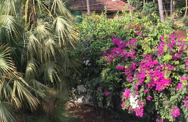 1BHK Luxury Homestay In Betalbatim South Goa 1km from the Beach