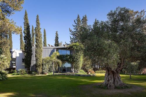 1BR Apartment in the heart of nature near Seville with swimming pool and parking