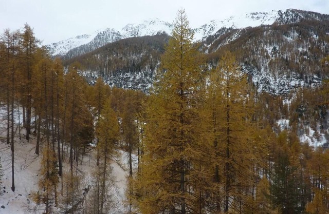 1st floor, balcony, tv, ski locker, 32m², Les Orres