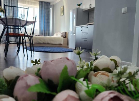 2 -ух комнатная квартира в Sholpan city