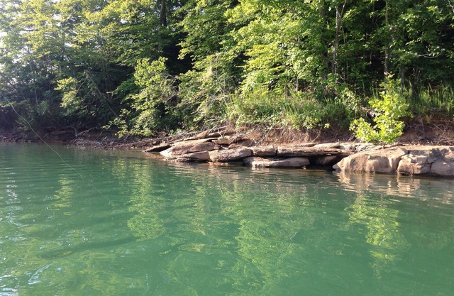 2 .0 miles from Wolf River Resort on Dale Hollow Lake