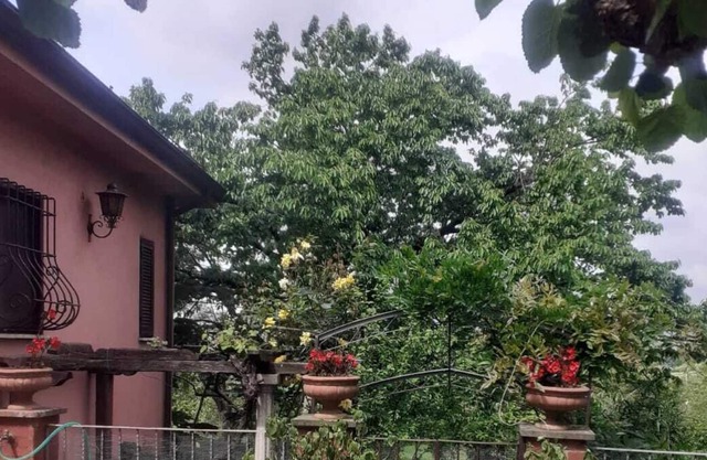 2 appartamenti in villa