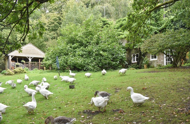 Alojamiento de 2 habitaciones en Crowborough