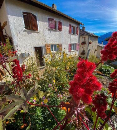 2 bedroom apartment with Carnotzet