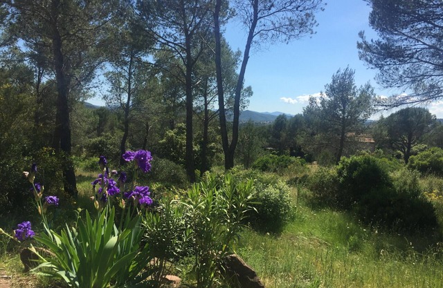 2 BEDROOM TOWNHOUSE WITH GARDEN (N°502)