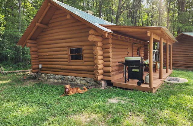 2 Cabins with Kitchen/Bath House on 137 Acres!