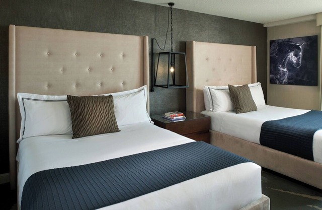 2 Pet-Friendly Boutique Rooms Perfect for Guests with Furry Friends