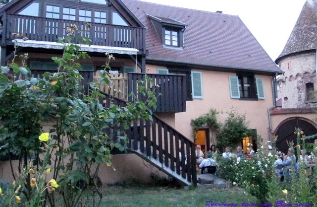 2 Quiet, spacious, comfortable, at the foot of the Vosges and vineyards, south,