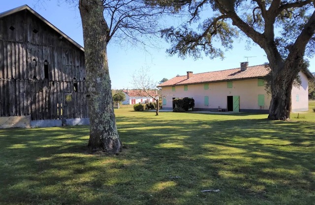 2 habitaciones entre bosque y océano