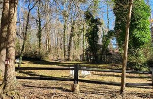 2 story rustic cabin in beautiful Clayton, Georgia!