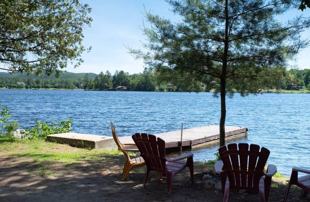 [# 2 The Dog] Cottage on the banks of the river.